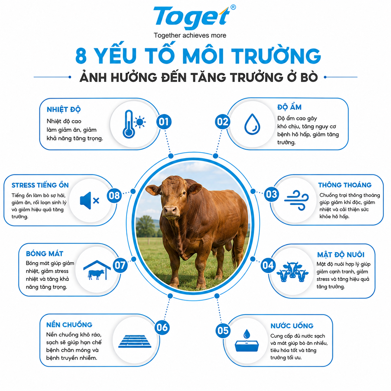 8 yếu tô môi trường