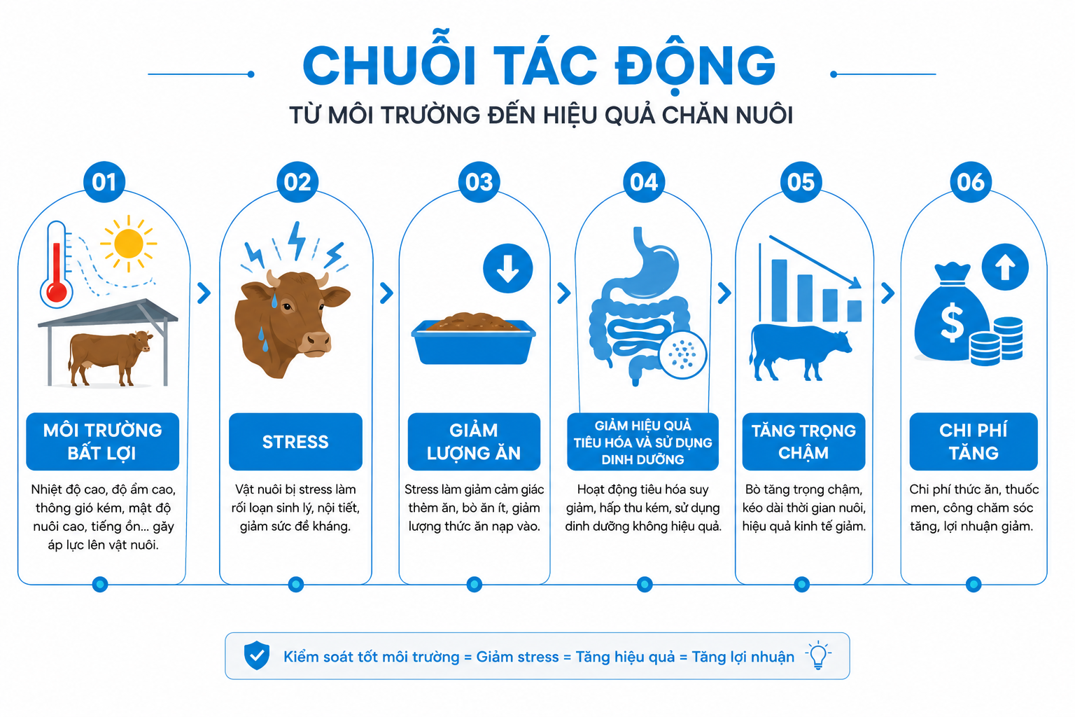 Chuỗi tác động từ môi trường 