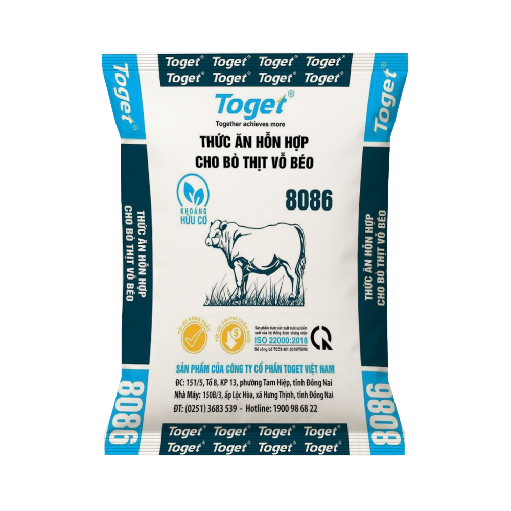 Toget 8086 | Thức Ăn Hỗn Hợp Cho Bò Thịt Vỗ Béo